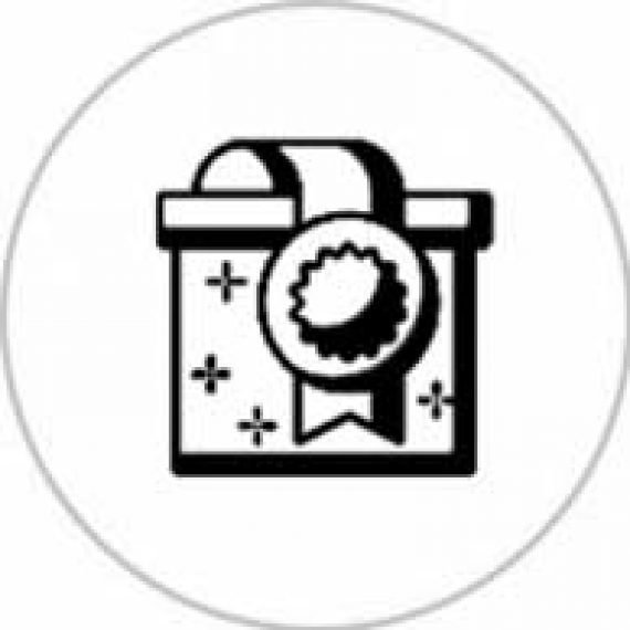 Web Development company in the USA