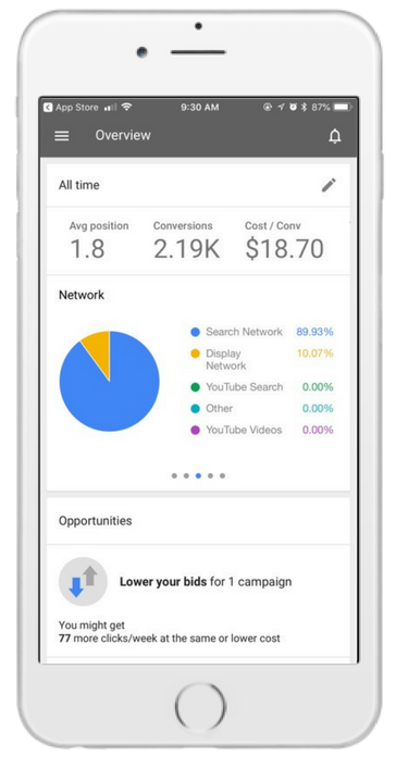 Google Ads services in the USA
