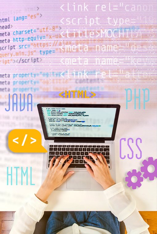 Custom+Web+Development